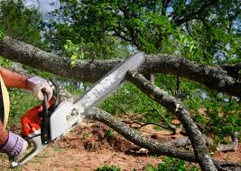 Best Weed Control  in Monaca, PA